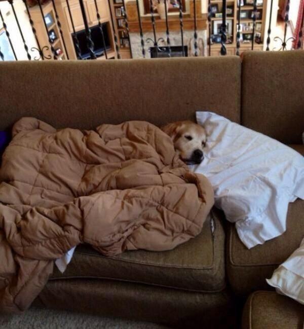 JenicaTjhin's tweet photo. "@dailyteenwords: How I spend my weekends: http://t.co/Fvx7wEZ9HZ"