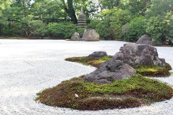 よしやす☞写真 tweet media