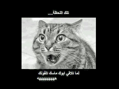 Rewaa_vo's tweet photo. شكلي اذا ابوي فتح جواللي http://t.co/tmq42Nk5Dj