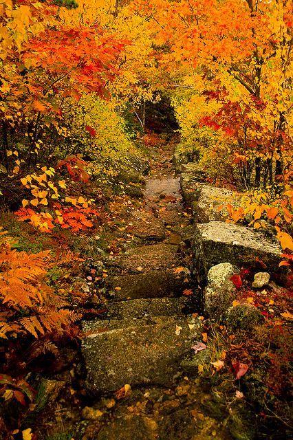 ...Dorr Mountain Trail, Acadia, Maine...