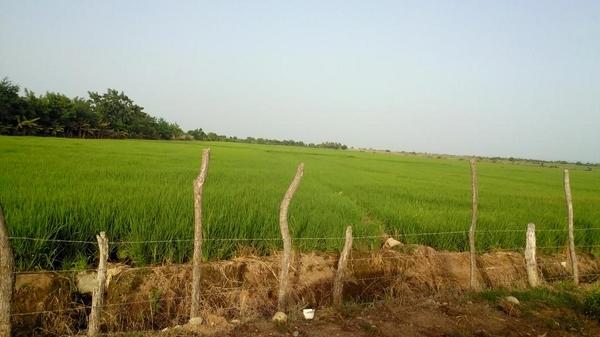 Winston E. Marte tweet media