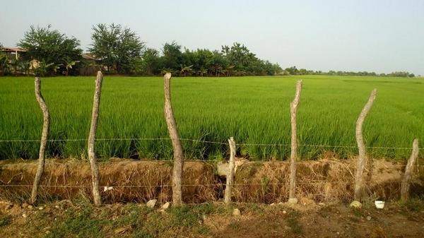 Winston E. Marte tweet media