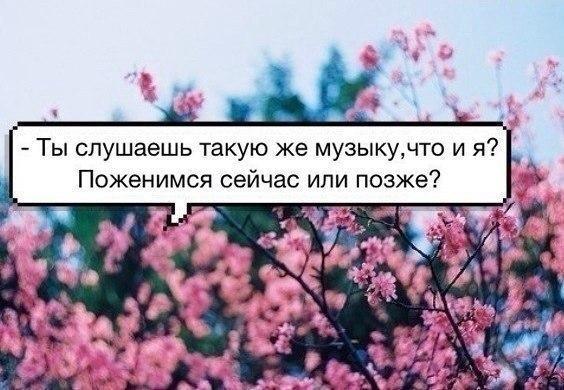 Когда встретил человека из твоих музыкальных фандомов :
-