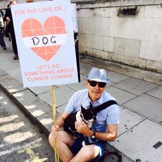 grahamjwpollard's tweet image. Kiki #BostonTerrierModel joins #climatechange rally @David_Cameron @BarkingBlondes