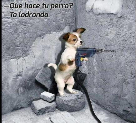 adri_bl's tweet photo. http://t.co/FmhVrHAZE2