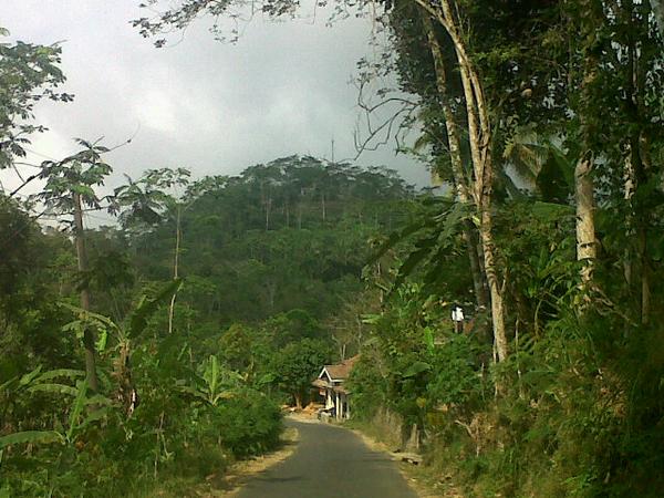 PELEMDUKUH_ tweet picture
