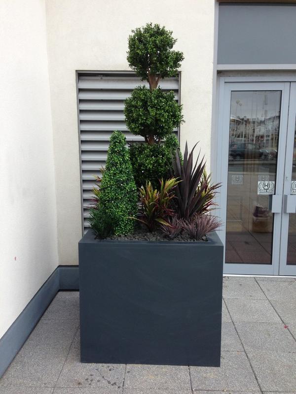 Branchingouttwo's tweet photo. Its great to see that @Europlanters is following us! http://t.co/zhxNlD7mdT