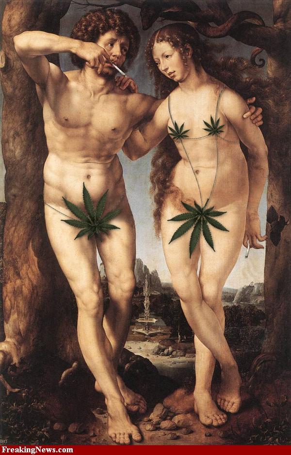 tantemerry420 tweet picture