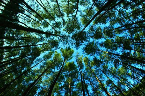 AA▲ (@azharskylit) on Twitter photo 