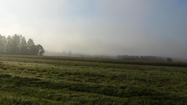 Emdoggle's tweet photo. Children of the corn? http://t.co/9yn7utyYlv