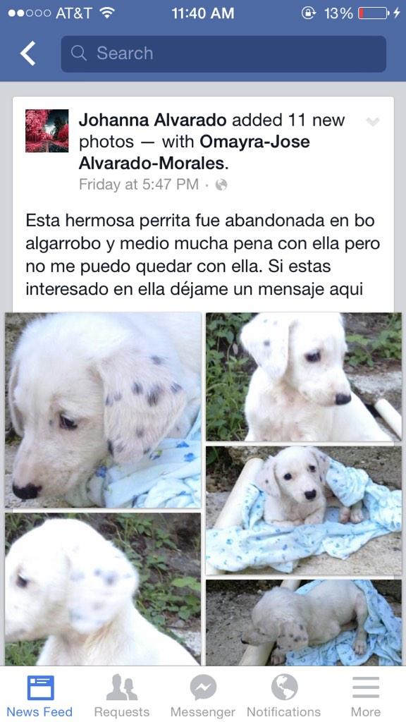 hctor_hack45's tweet image. 