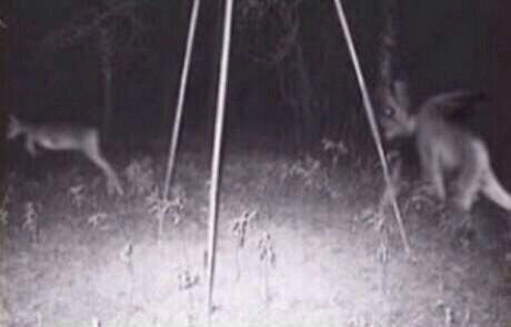ghoul_world's tweet photo. #paranormal http://t.co/PfC0eeCKCP