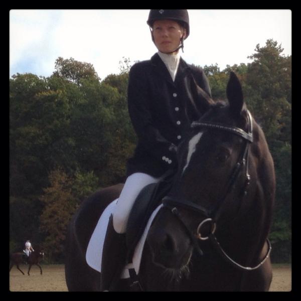 C9SportHorses's tweet photo. Yvonne and Guiness looking fab at #NEDAfall 💕🐴💕 #dressage #equestrian #horseshow #sopretty http://t.co/Oyqh69ZyMg