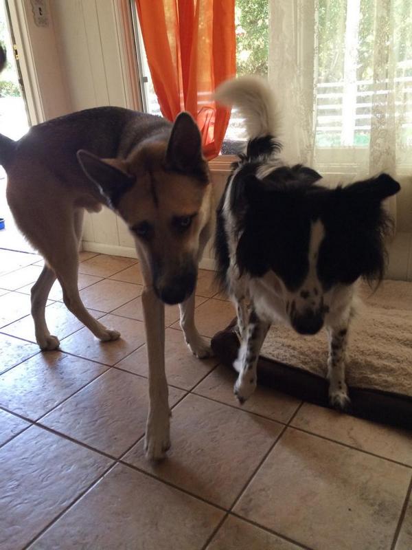 WestPackBnB's tweet photo. Geordi and his girlfriend, Skyla ....#westpackbnbhookups http://t.co/doSpW7drmL
