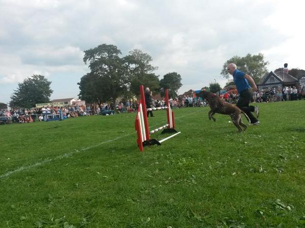 rtbh's tweet photo. Daughter really enjoyed the dogs of the @PFTDogDisplay @clevedontides Festival Today! http://t.co/jl8i1SeRye