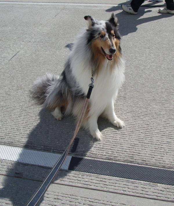 Banjocollie's tweet photo. I approve of these lane stripes. #96fix #96fixed http://t.co/igAARW8oBz
