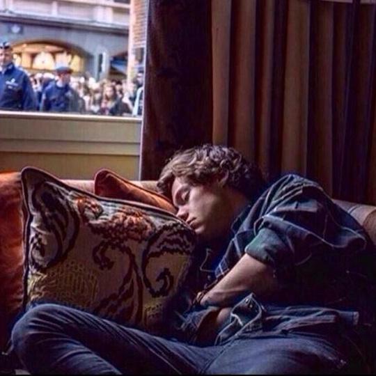 sleeping Harry styles