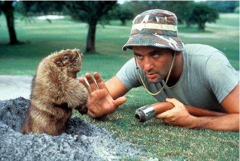 Gunga galunga: Happy 64th birthday to the one and only, Bill Murray!  Photos:  