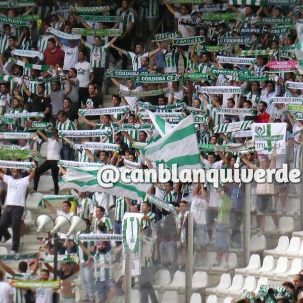 SECC.J.Incond_CCF tweet media