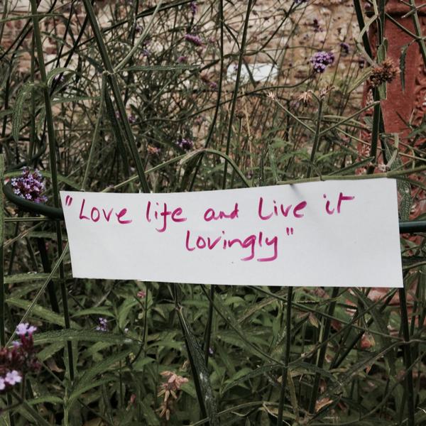 Navleen Kaur (@navleenk4) on Twitter photo 