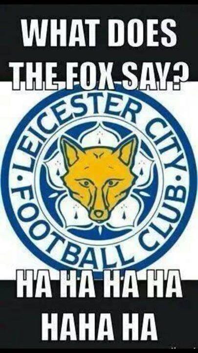 Natalie Moe (@natanalie) on Twitter photo 