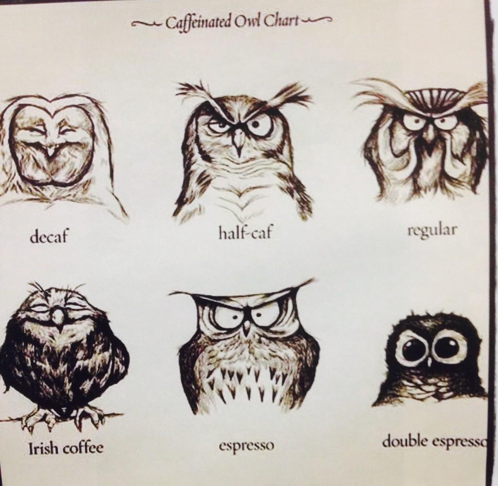 Coffee Owl Chart