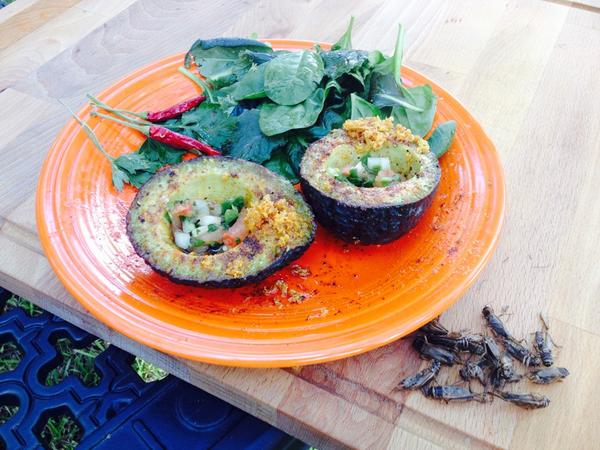 EatYummyBugs's tweet photo. Garlic-cricket-panko topper #entolife http://t.co/oVxEgqaLIJ
