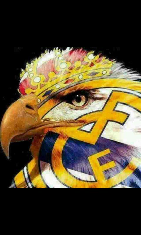 12332Salar's tweet photo. http://t.co/XuVxRGleuw