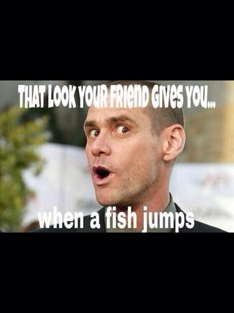 elitecarper's tweet photo. LMAO!! http://t.co/Qt4hbygrM9
