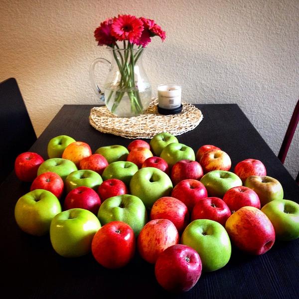 Wtf am I going to do with all of these apples?! 🍎🍏🍎 #applesfordays