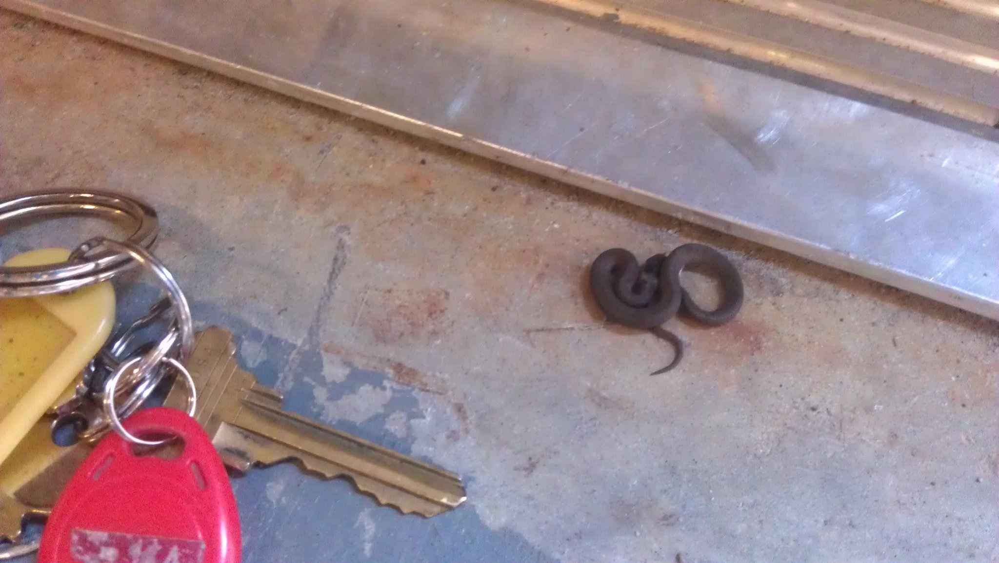 Embedded image permalink