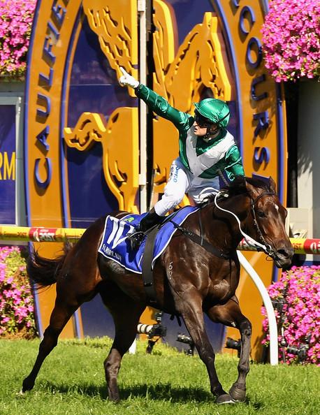 MickPriceRacing's tweet photo. Our beautiful mare @samaready is off to stud.Big thanks to the owners I hope they enjoyed the ride as much as we did http://t.co/sR9gU9kiHA
