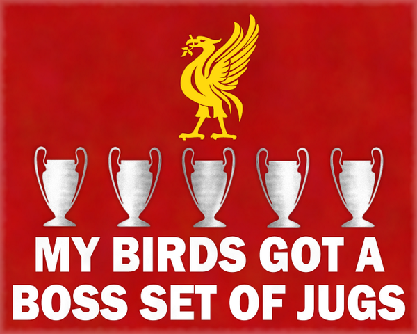 BestLFCimages's tweet photo. `A BOSS SET OF JUGS` . . . #5Times #YNWA #LFC Please #RT TY :-) http://t.co/6RaXpat06T