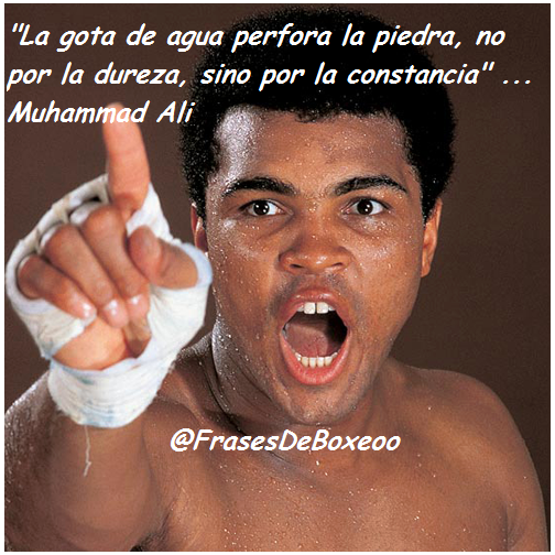 FrasesDeBoxeoo's tweet photo. "La gota de agua perfora la piedra ... 
#FrasesDeBoxeoo @MuhammadAli http://t.co/qhlrNr80LZ