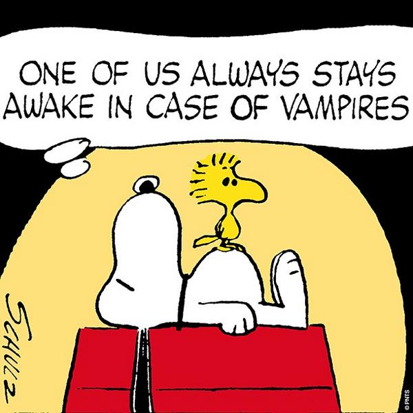 Peanuts Sunday Nights With Snoopy And Woodstock Http T Co Nrhgvvuilc Peanuts Sunday Nights With Snoopy And Woodstock Http T Co Nrhgvvuilc
