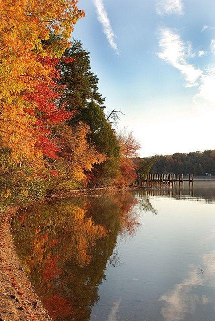 EL OTOÑO SE ACERCA CON MUY POCO RUIDO...* - Página 4 ByGiMRFIEAA_cjr