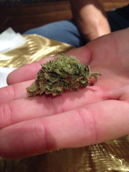 @jenna_valentine I would have brought this home for you if possible. (It's called Tesla). 😘 http://t<a class="tags" target="_blank" title="On Twitter" href="/?out=eyJ0eXAiOiJKV1QiLCJhbGciOiJIUzUxMiJ9.eyJpYXQiOjE3MjQxMzkzNTYsImlzcyI6InR3cG9ybnN0YXJzLmNvbSIsIm5iZiI6MTcyNDEzOTM1NiwiZXhwIjoxNzU1Njc1MzU2LCJyZWRpcmVjdF91cmwiOiJodHRwczovL3R3aXR0ZXIuY29tL2plbm5hX3ZhbGVudGluZSJ9.7eWEsSx2lLqJihceSjbxUOpt-Ki5OEESQ-U2_vWYmcLUgOrWSN3Ua1bTnyLR8Bi0vEWkvMTwpRLJ6TdbIcot2A">@jenna_valentine</a>