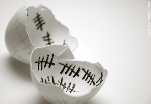 MartinShapiro's tweet photo. FREEDOM! Have you ever felt trapped in a shell, counting the days... then finally you break free? http://t.co/8znpMpnJN3