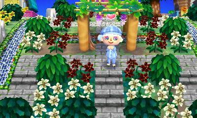 sugar_kittens's tweet photo. #ACNL http://t.co/binBLjqFii