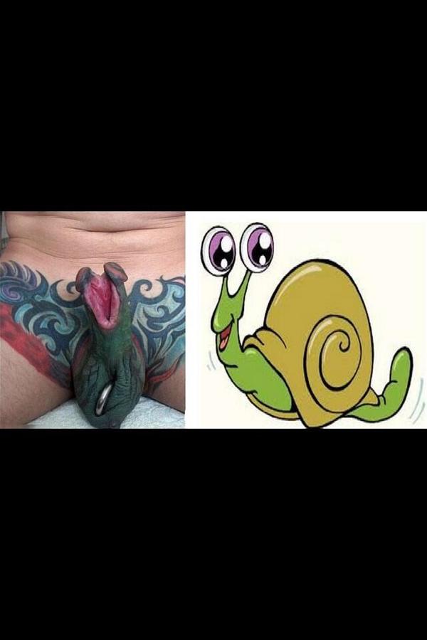 RealCDMI's tweet photo. Stop the #BeeChallenge , do the #SnailChallenge http://t.co/iMsh0PIaXI