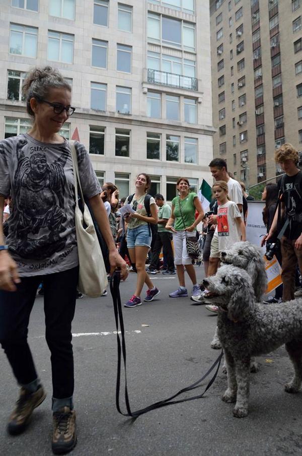 SpanielMusings's tweet image. Great to see some of my fellow campaigners out yesterday.  Good show!