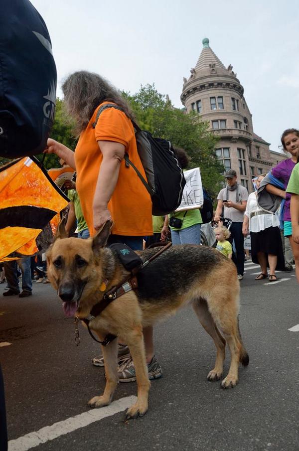 SpanielMusings's tweet image. Great to see some of my fellow campaigners out yesterday.  Good show!