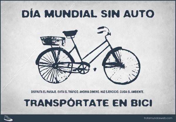alberto plaza tweet media