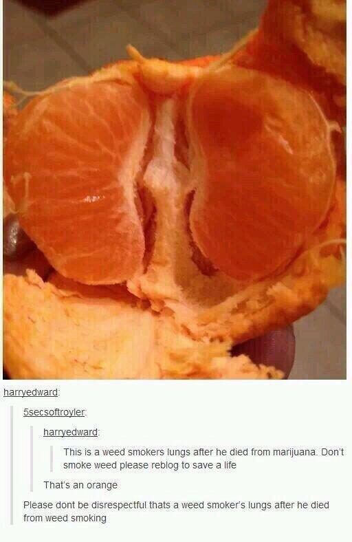 SpeakComedy's tweet photo. THIS IS WHY YOU DON'T SMOKE WEED http://t.co/phYgTYno2V