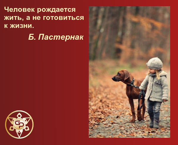 #развитие@at_globalpromotion_official #цитата@at_globalpromotion_official #психология@at_glob