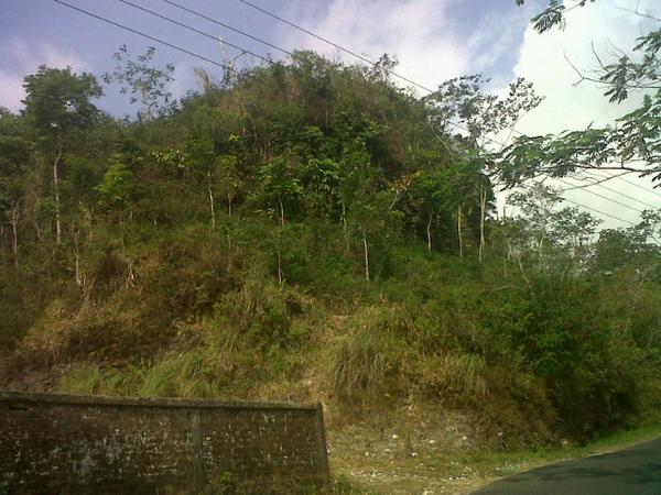 PELEMDUKUH_ tweet picture