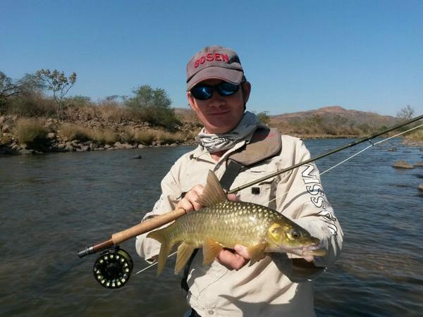 RobertGordonKyl's tweet photo. Not a monster by any means but this little guy still managed to tug some line off the reel! #flyfishing @XplorerFly http://t.co/VIYXnduuUi