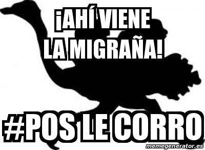 MadMigra's tweet photo. http://t.co/vRqLlL0OPU