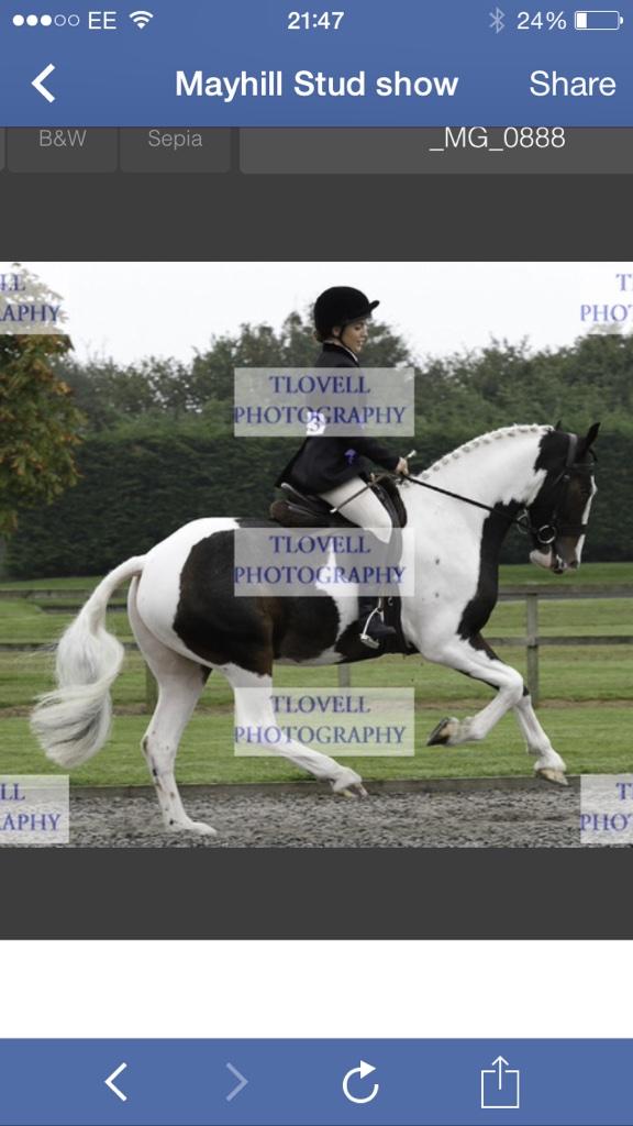 LOVE my pony. Seriously😍❤️