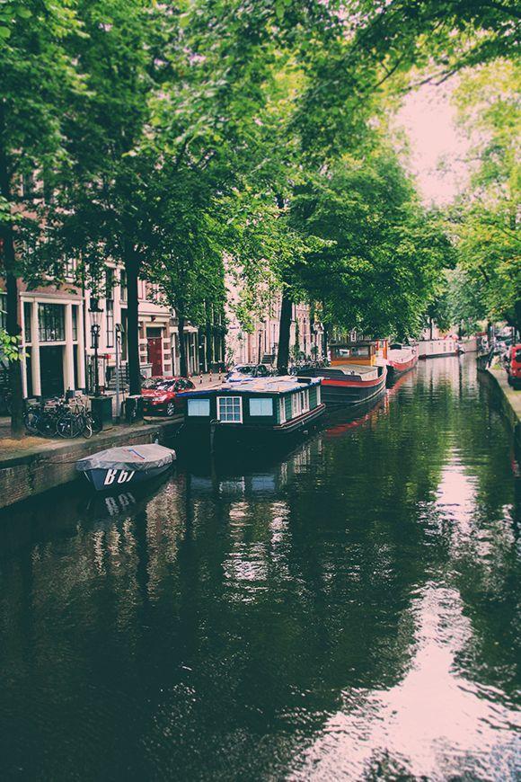 NaturPictures's tweet photo. Amsterdam http://t.co/tF99IUDyuw